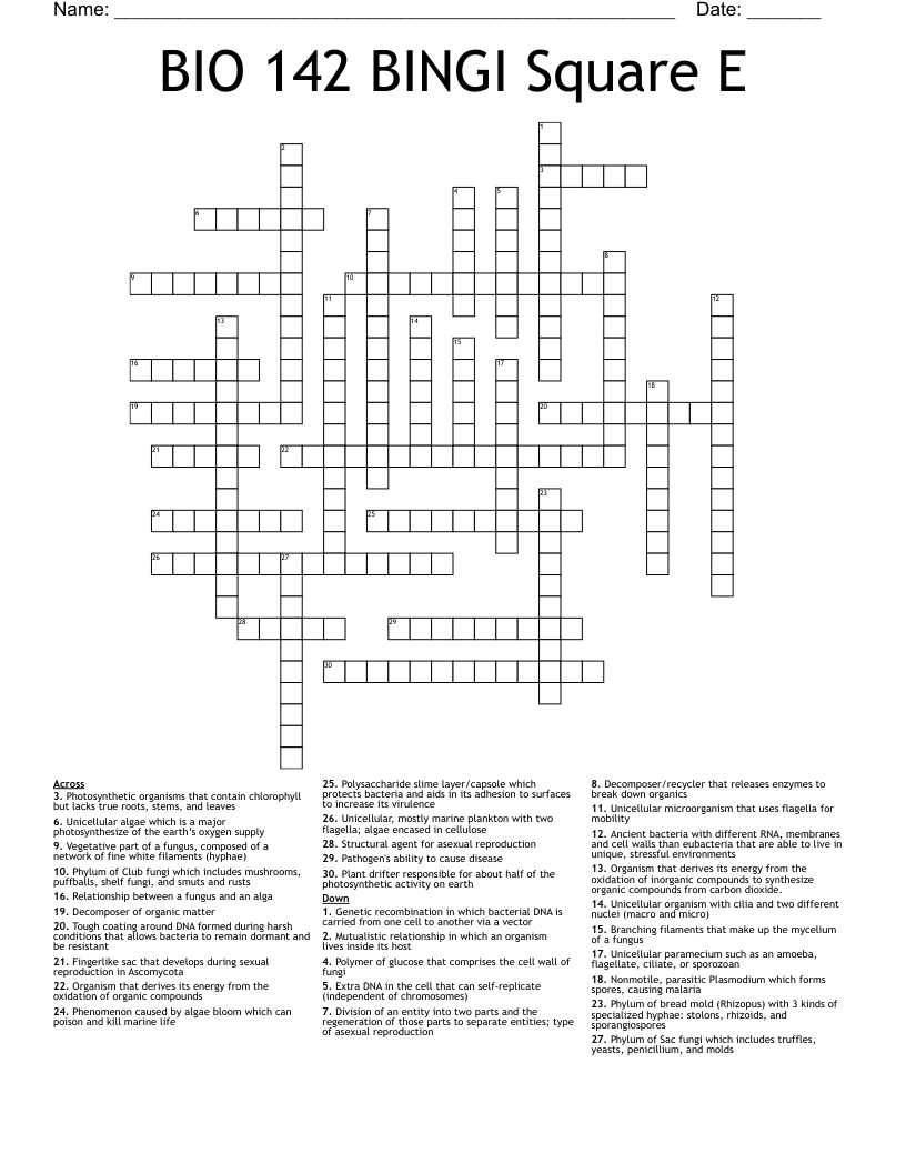 BIO 142 BINGI Square E Crossword
