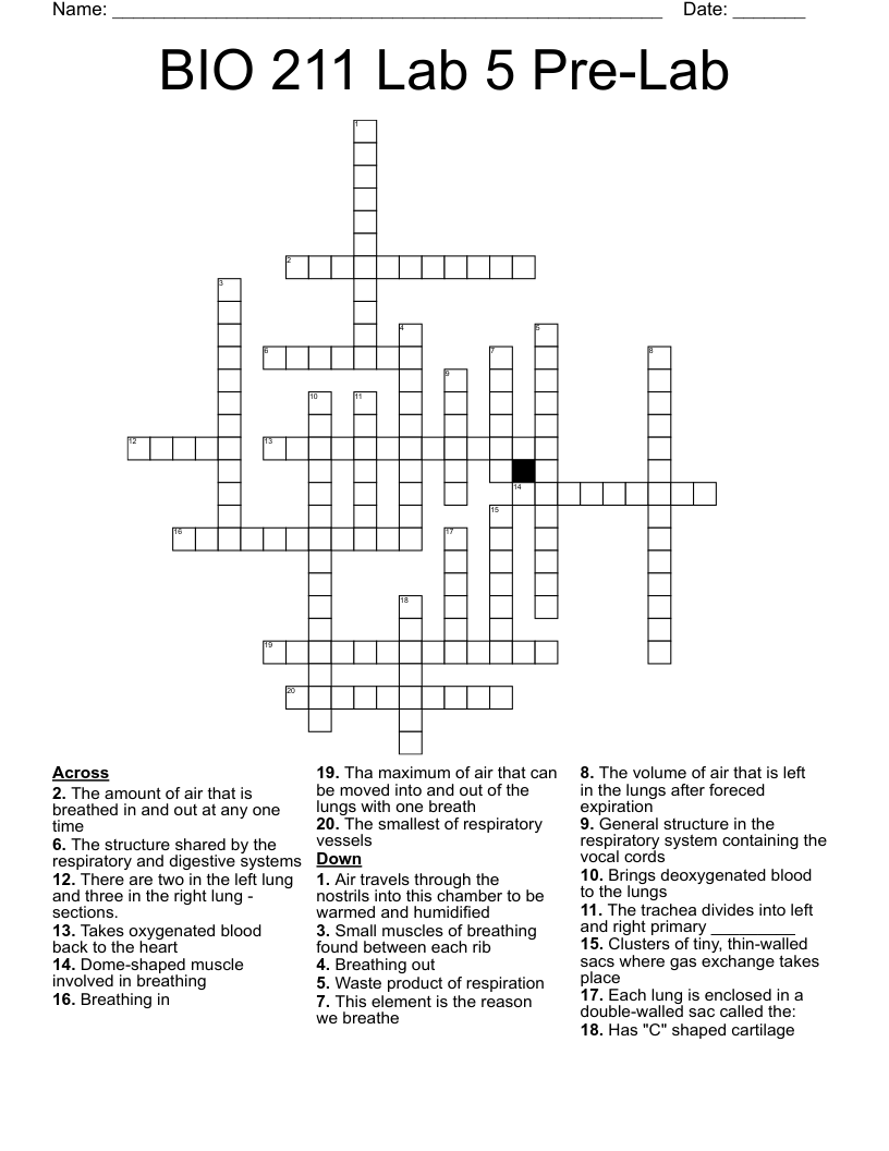 BIO 211 Lab 5 Pre-Lab Crossword