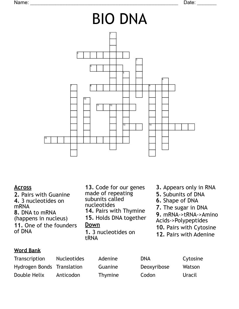 BIO DNA Crossword