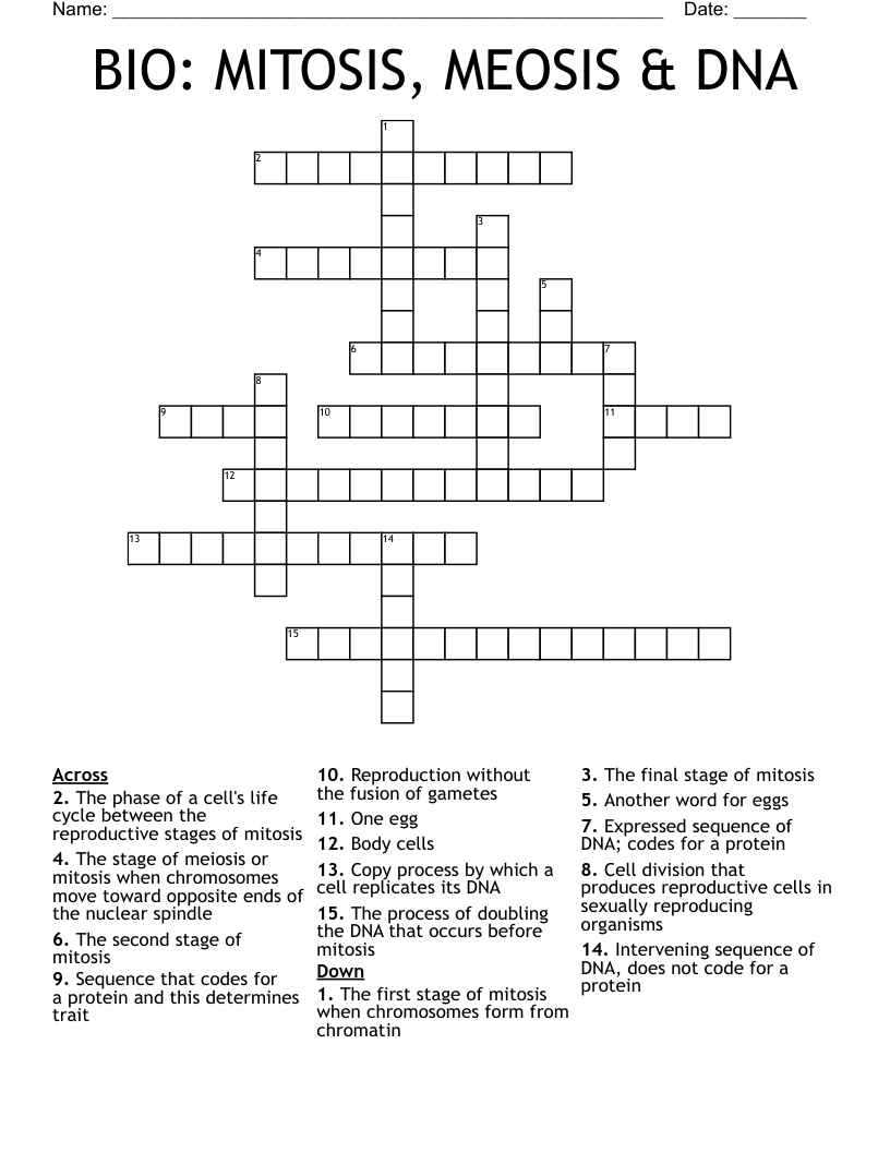 BIO: MITOSIS, MEOSIS & DNA Crossword