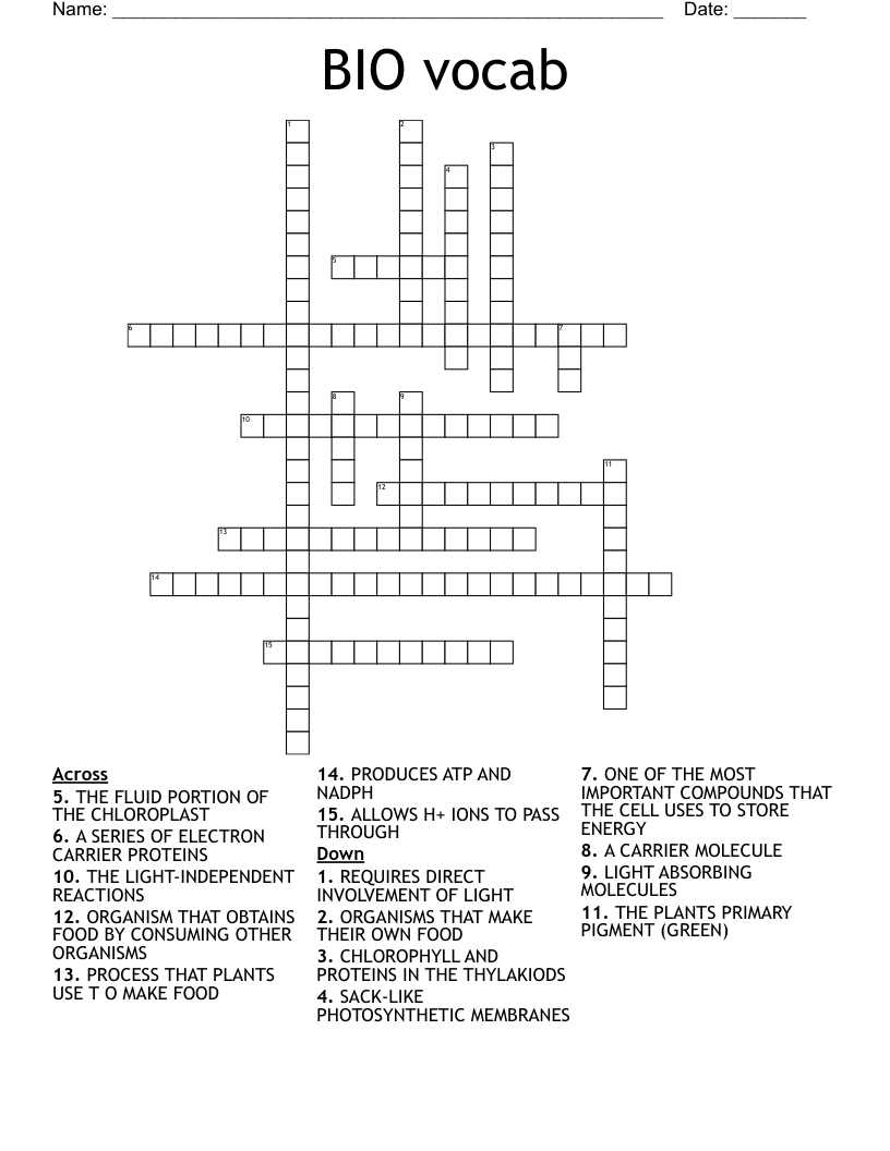 BIO vocab Crossword