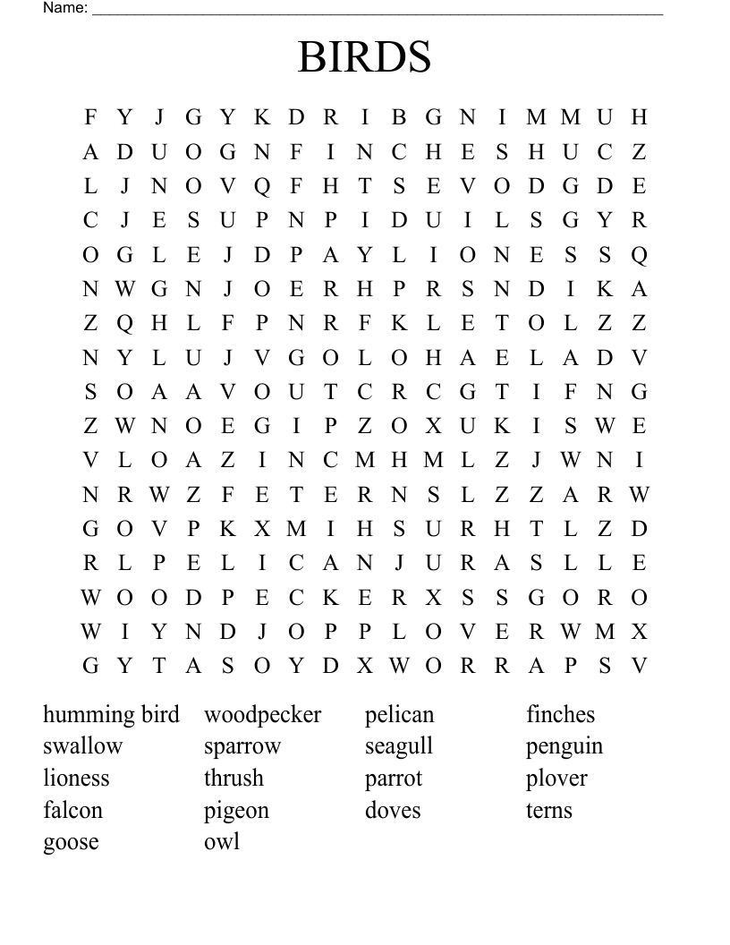 BIRDS Word Search