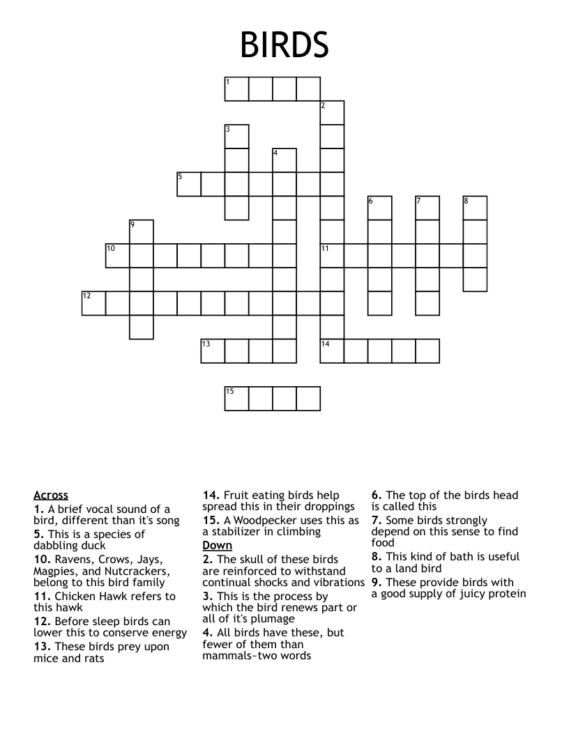 BIRDS Crossword