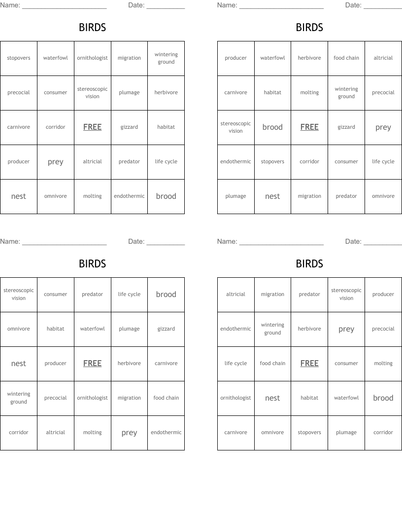 BIRDS Bingo Cards