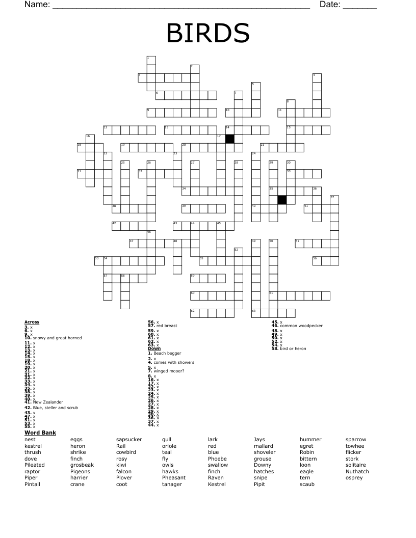 BIRDS Crossword