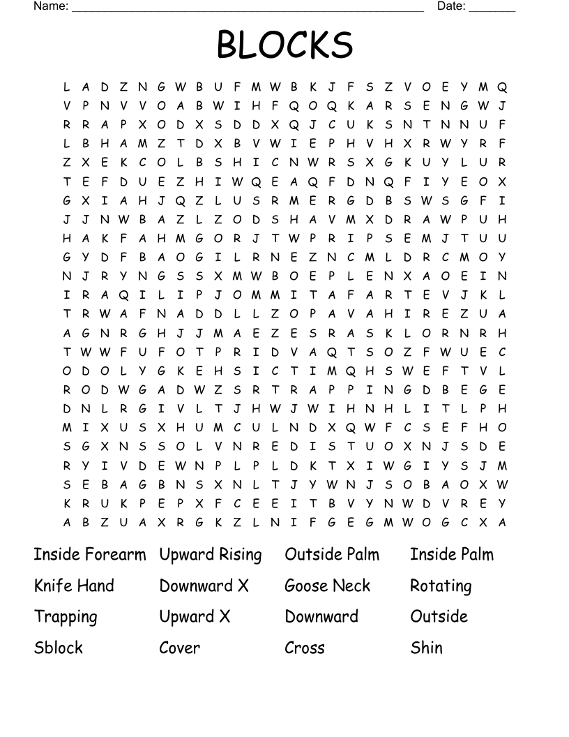 BLOCKS Word Search
