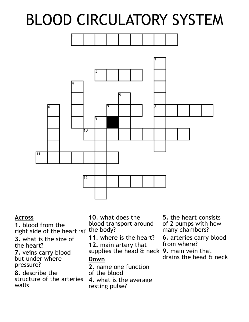 BLOOD CIRCULATORY SYSTEM Crossword