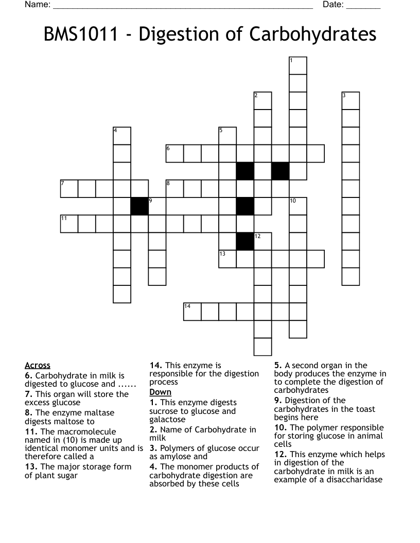 BMS1011 - Digestion of Carbohydrates Crossword