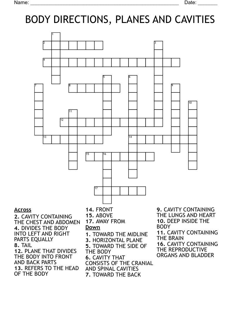 BODY DIRECTIONS, PLANES AND CAVITIES Crossword