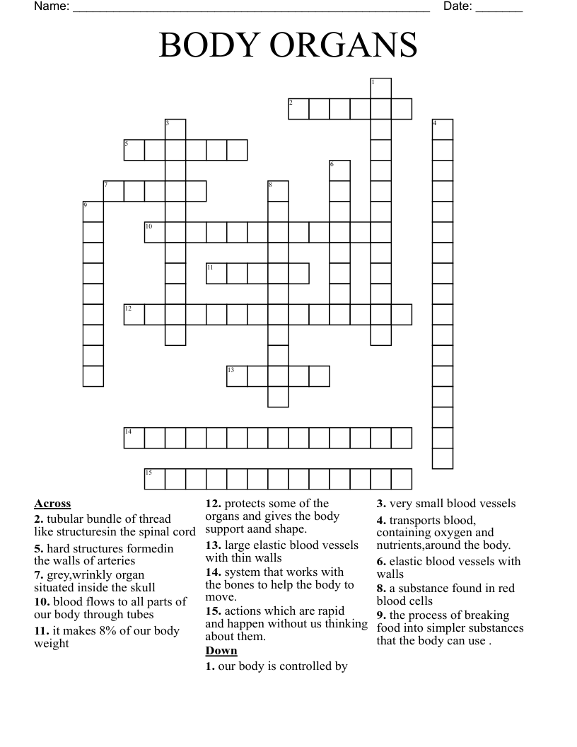 BODY ORGANS Crossword