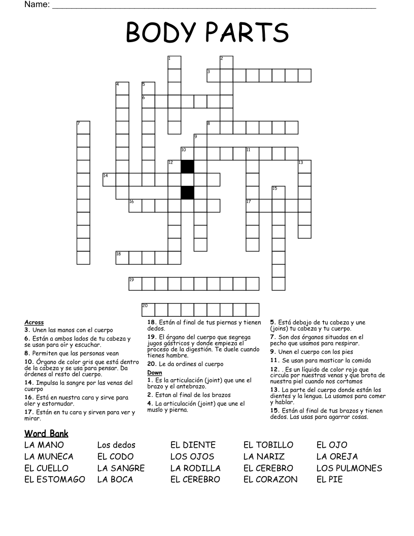 BODY PARTS Crossword