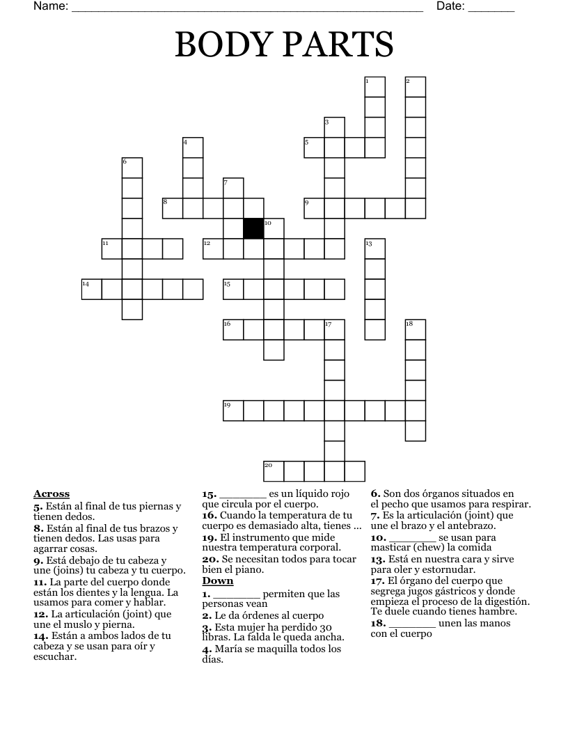 BODY PARTS Crossword