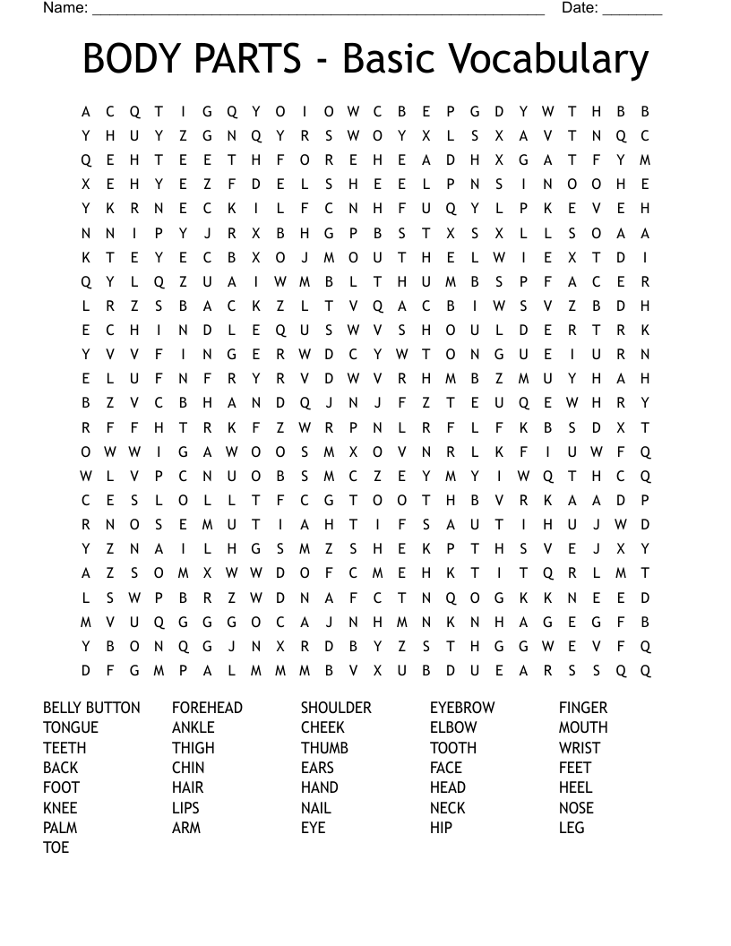 BODY PARTS - Basic  Vocabulary Word Search