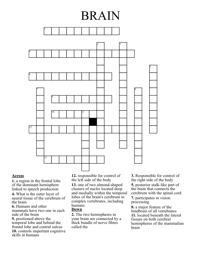 BRAIN Crossword
