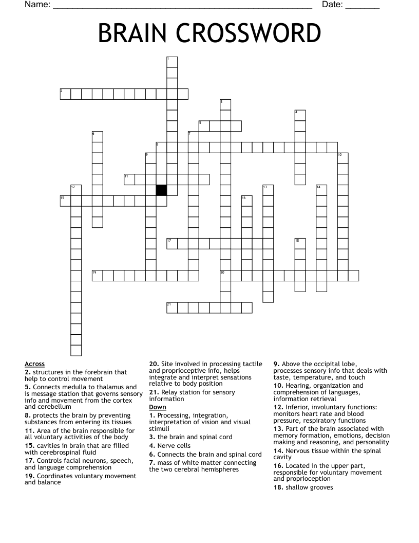 BRAIN CROSSWORD