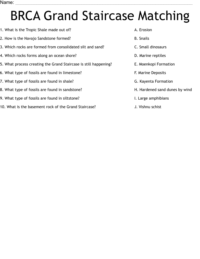 BRCA Grand Staircase Matching Worksheet