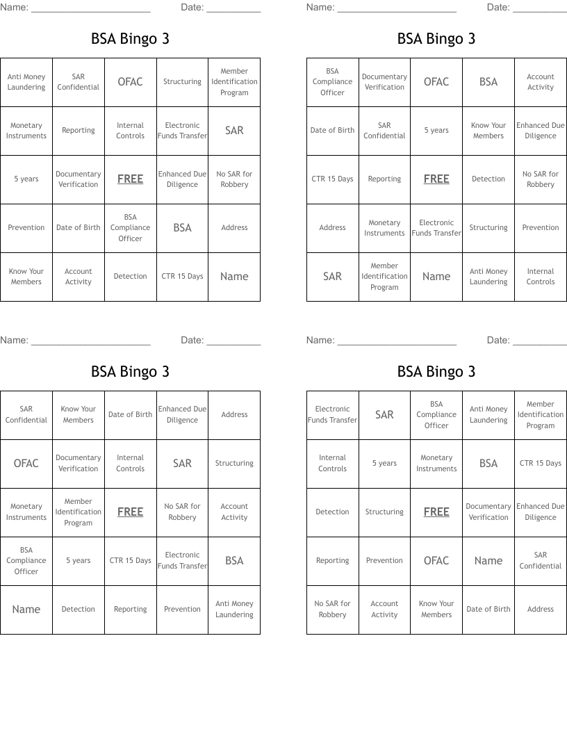 BSA Bingo 3
