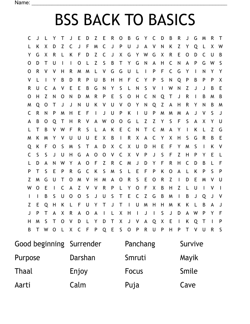 BSS BACK TO BASICS Word Search