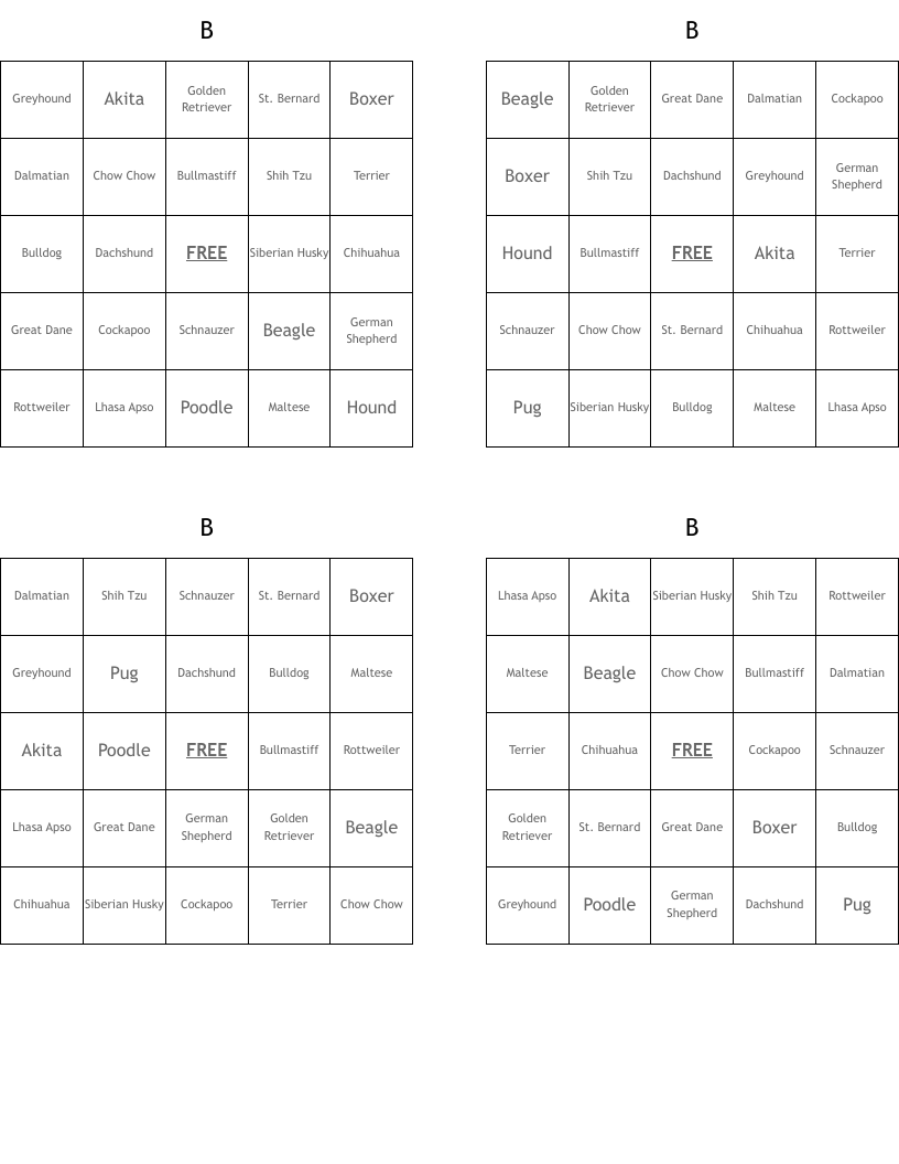 B                                                                 Bingo Cards