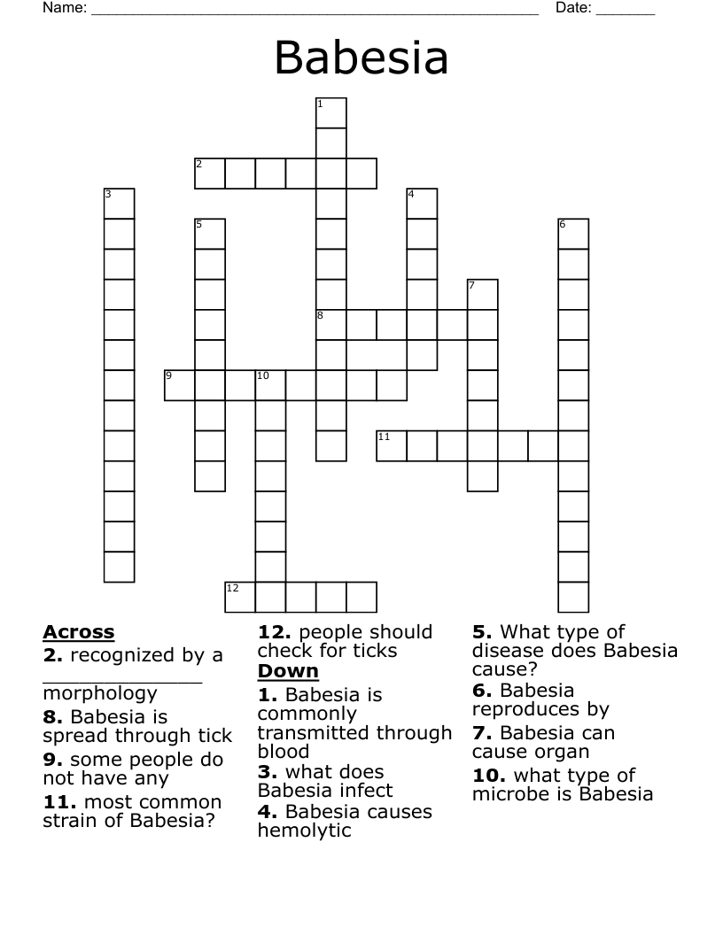 Babesia Crossword