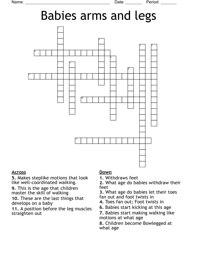 Babies arms and legs Crossword