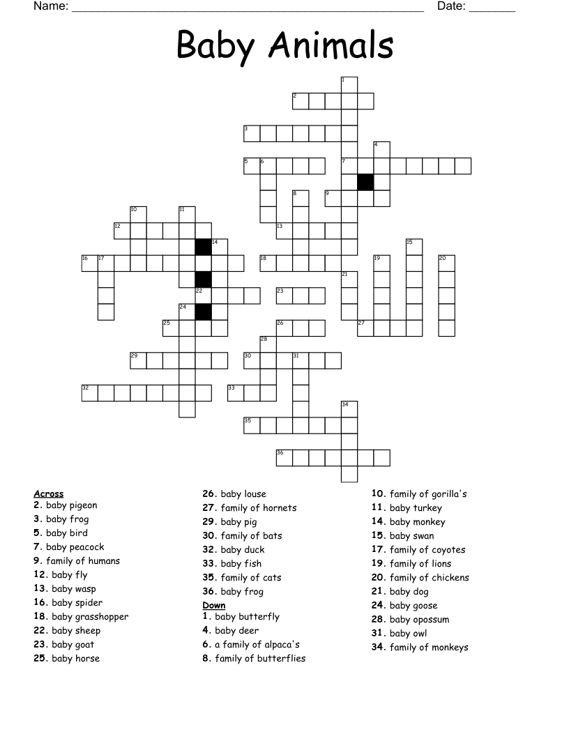 Baby Animals Crossword