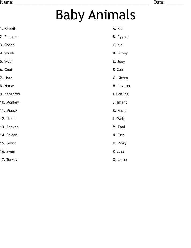 Baby Animals Worksheet