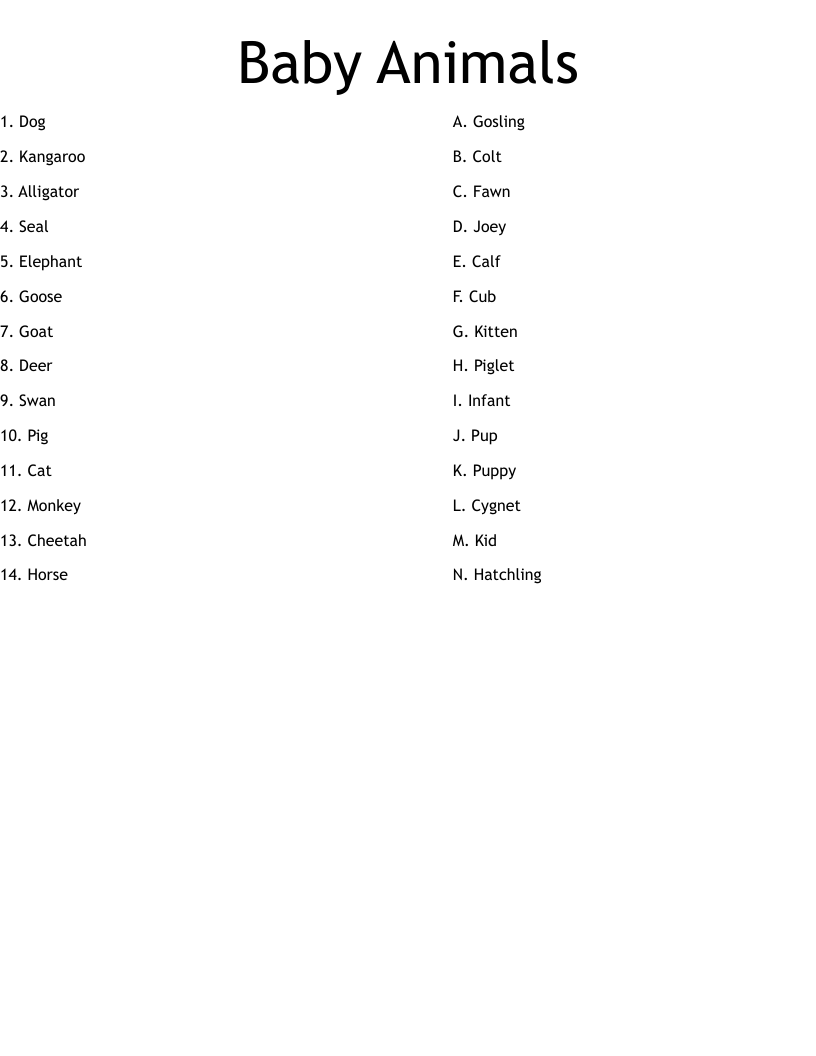 Baby Animals Worksheet