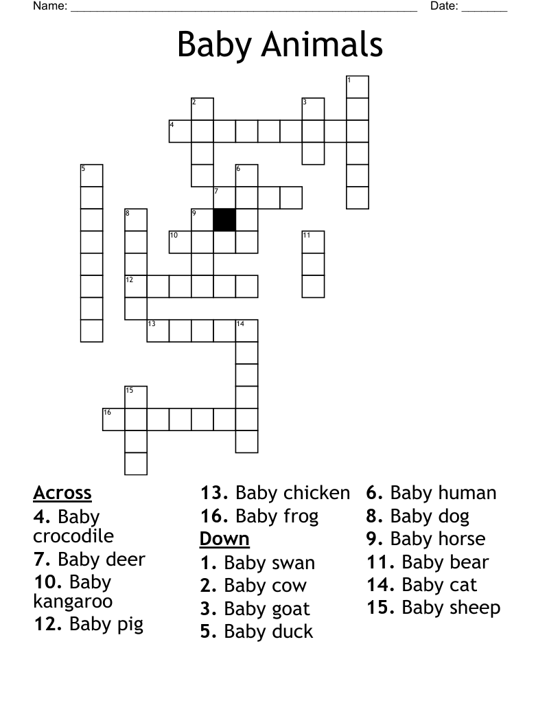 Baby Animals Crossword