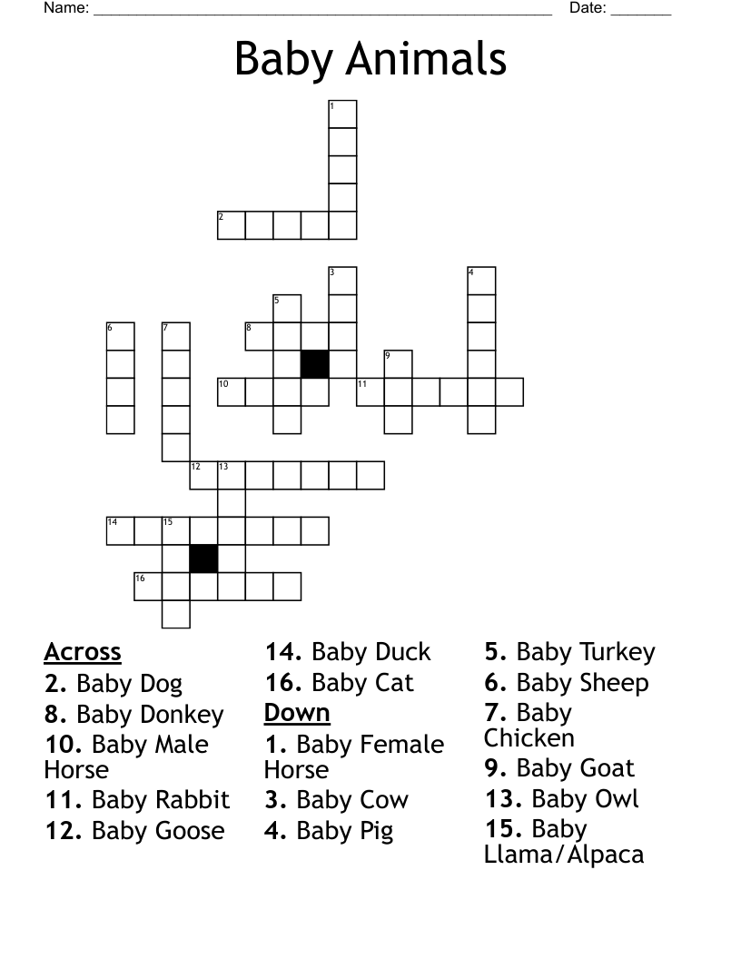 Baby Animals Crossword