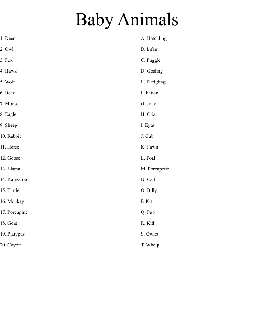Baby Animals Worksheet
