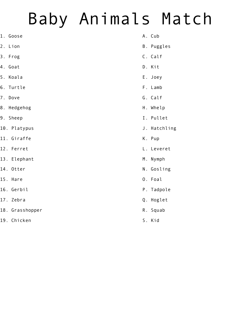 Baby Animals Match Worksheet