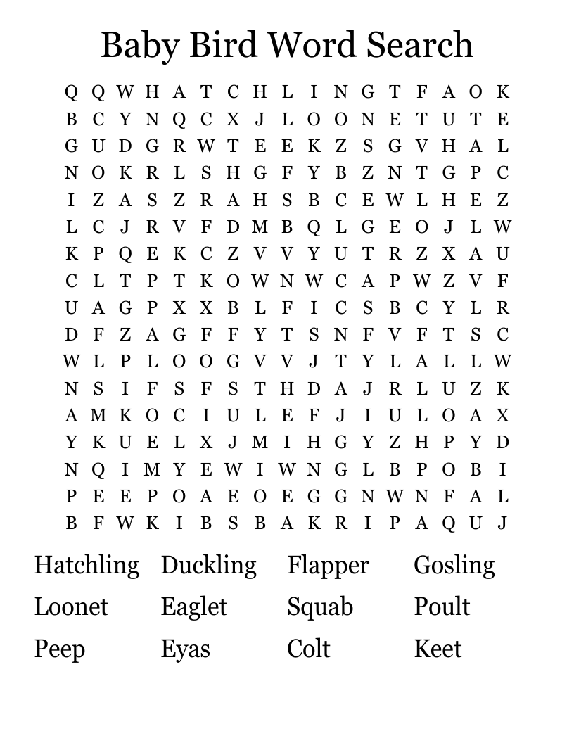 Baby Bird Word Search