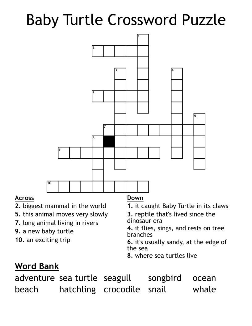 Baby Turtle Crossword Puzzle