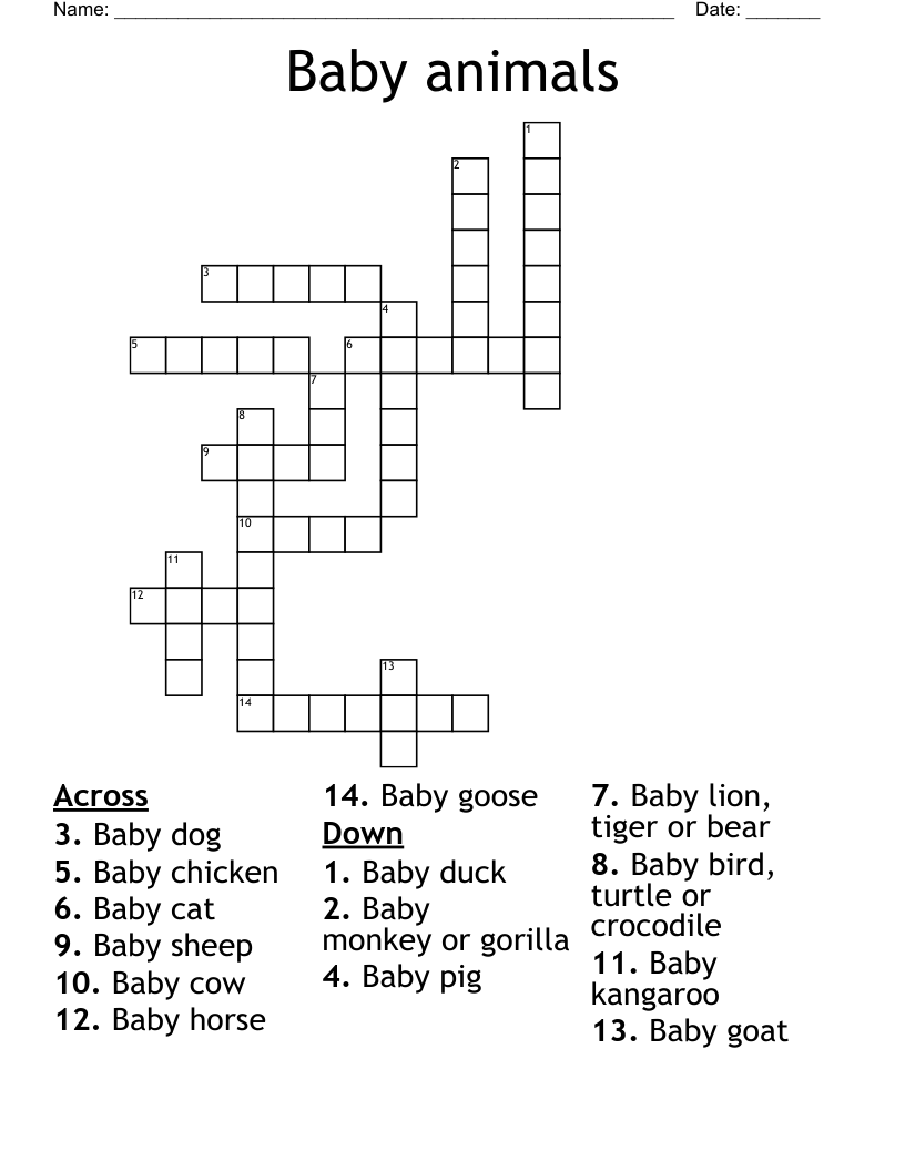 Baby animals Crossword