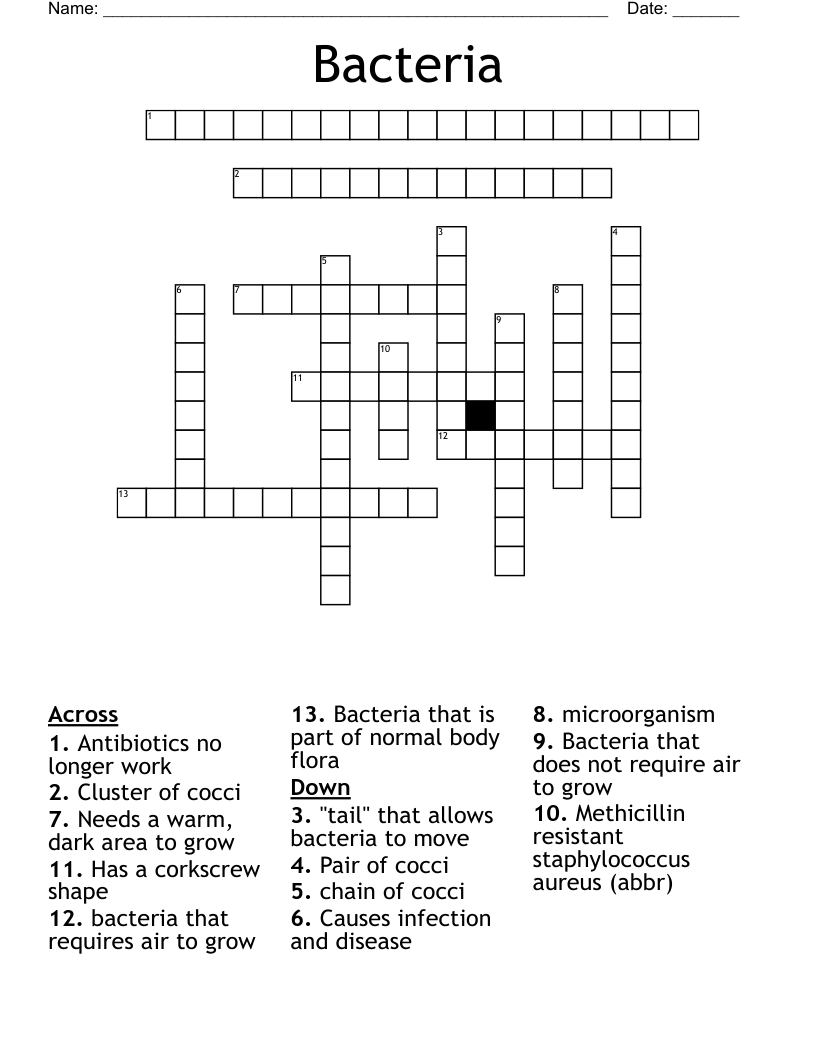Bacteria Crossword
