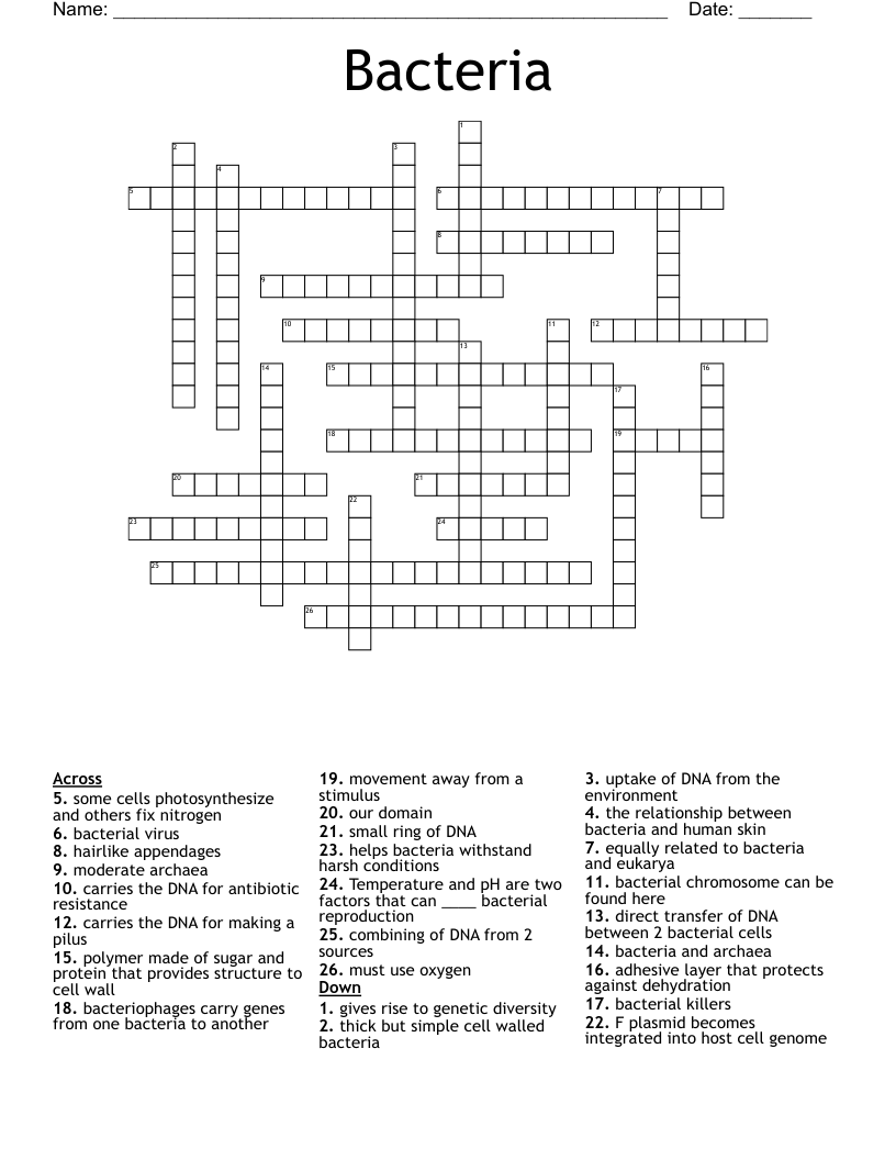 Bacteria Crossword