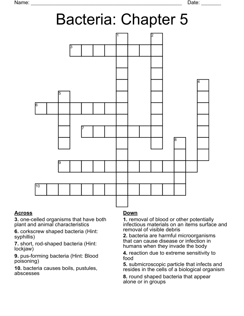 Bacteria: Chapter 5 Crossword