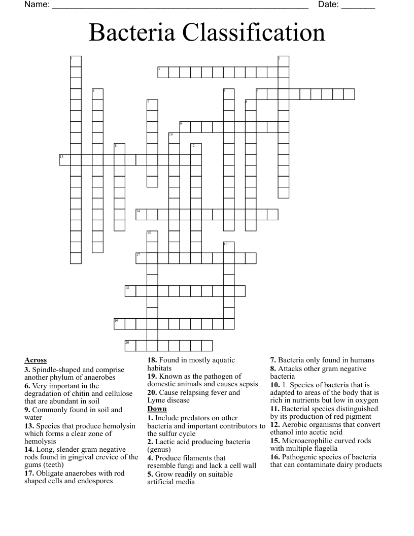 Bacteria Classification Crossword