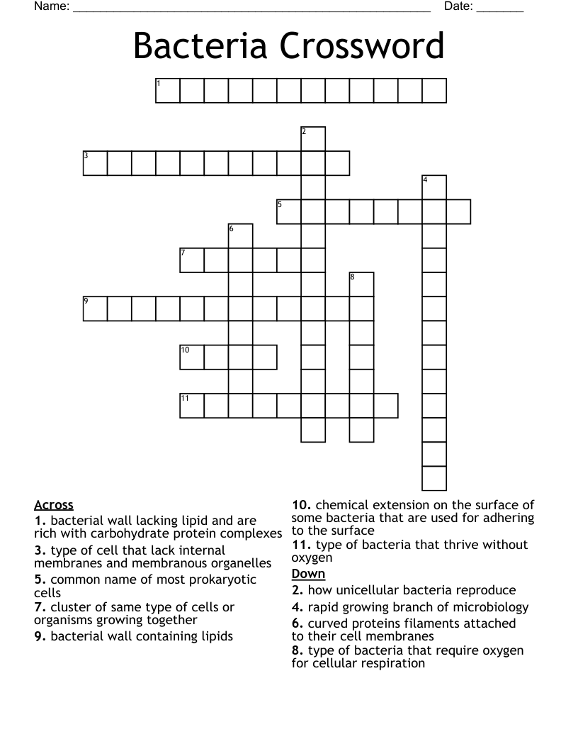 Bacteria Crossword