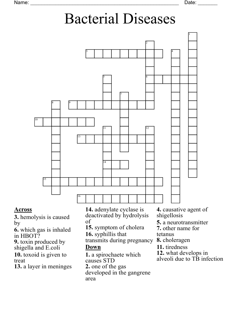 Bacterial Diseases Crossword