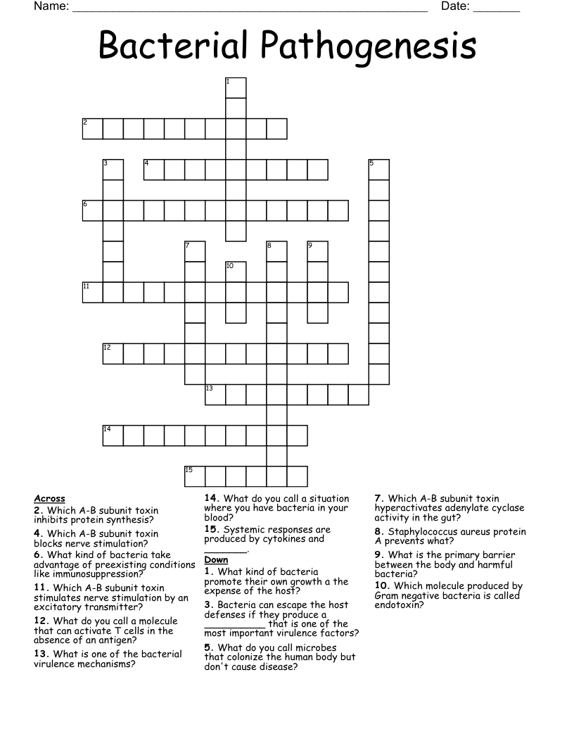 Bacterial Pathogenesis Crossword