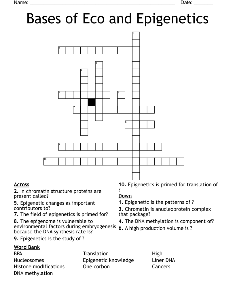 Bases of Eco and Epigenetics  Crossword