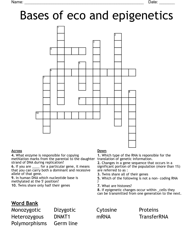 Bases of eco and epigenetics Crossword
