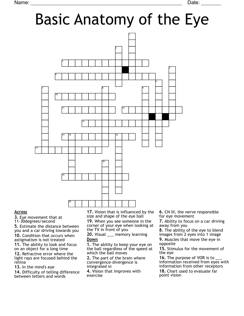 Basic Anatomy of the Eye Crossword