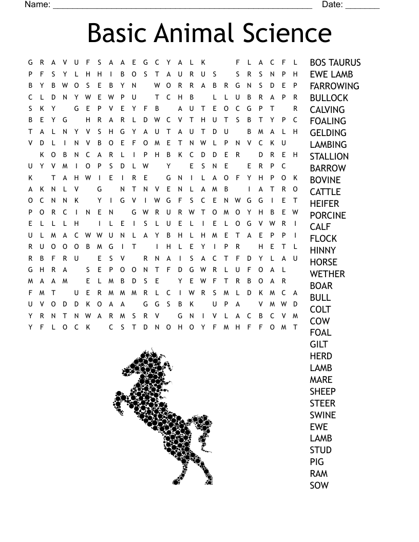 Basic Animal Science  Word Search