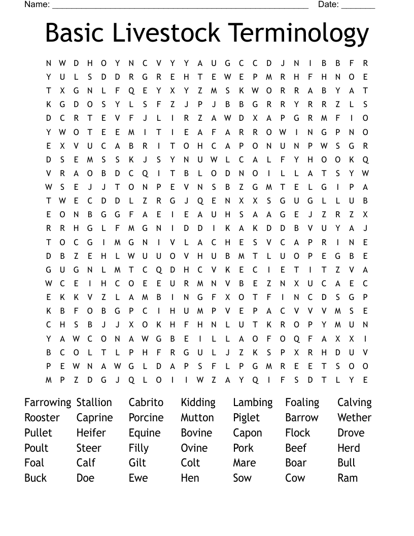 Basic Livestock Terminology Word Search