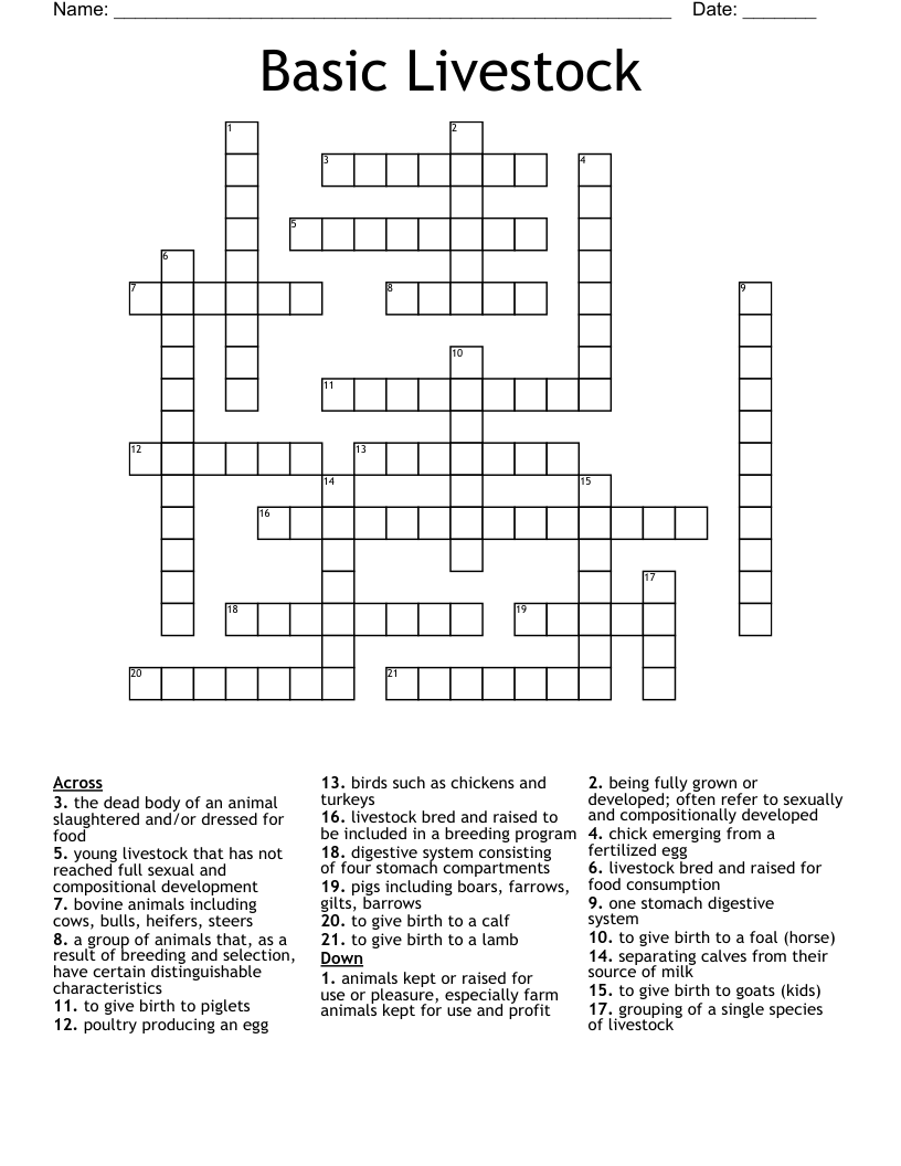 Basic Livestock  Crossword