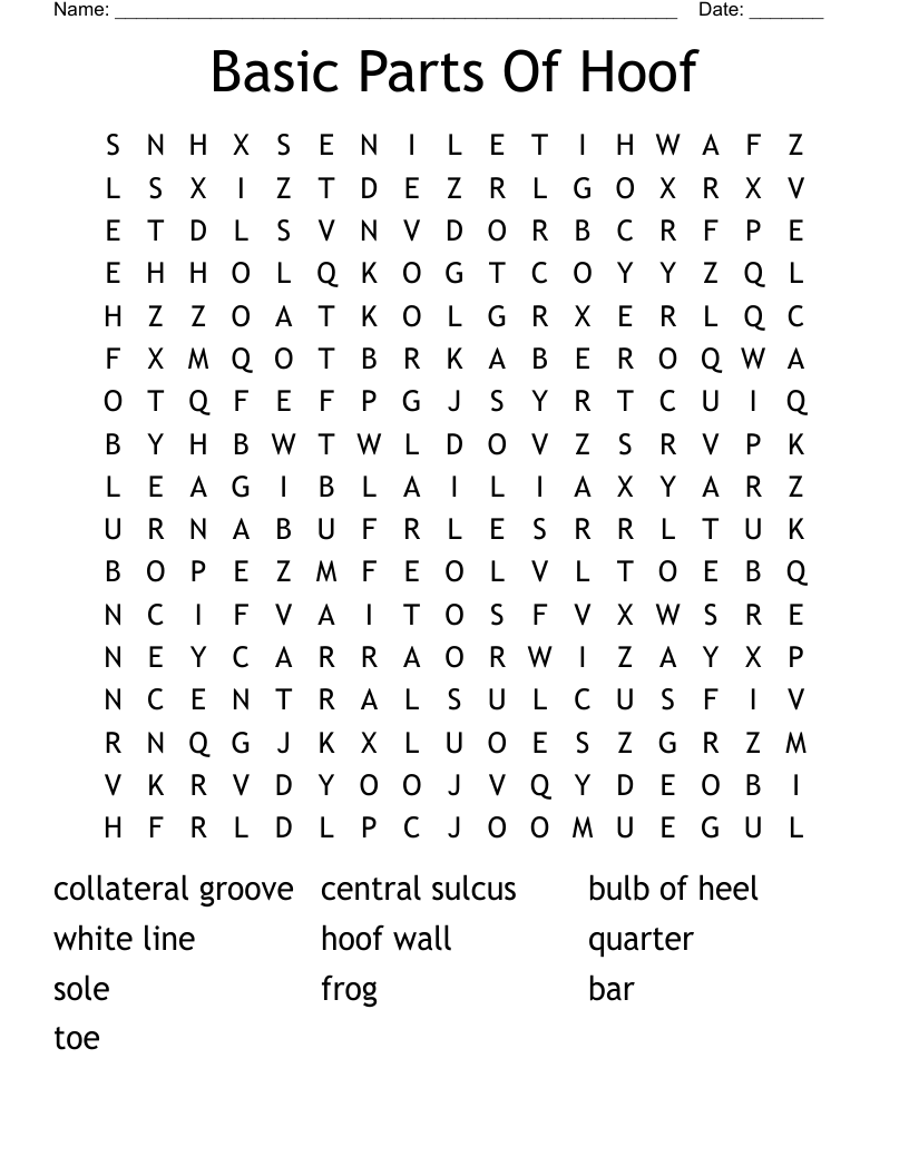 Basic Parts Of Hoof Word Search