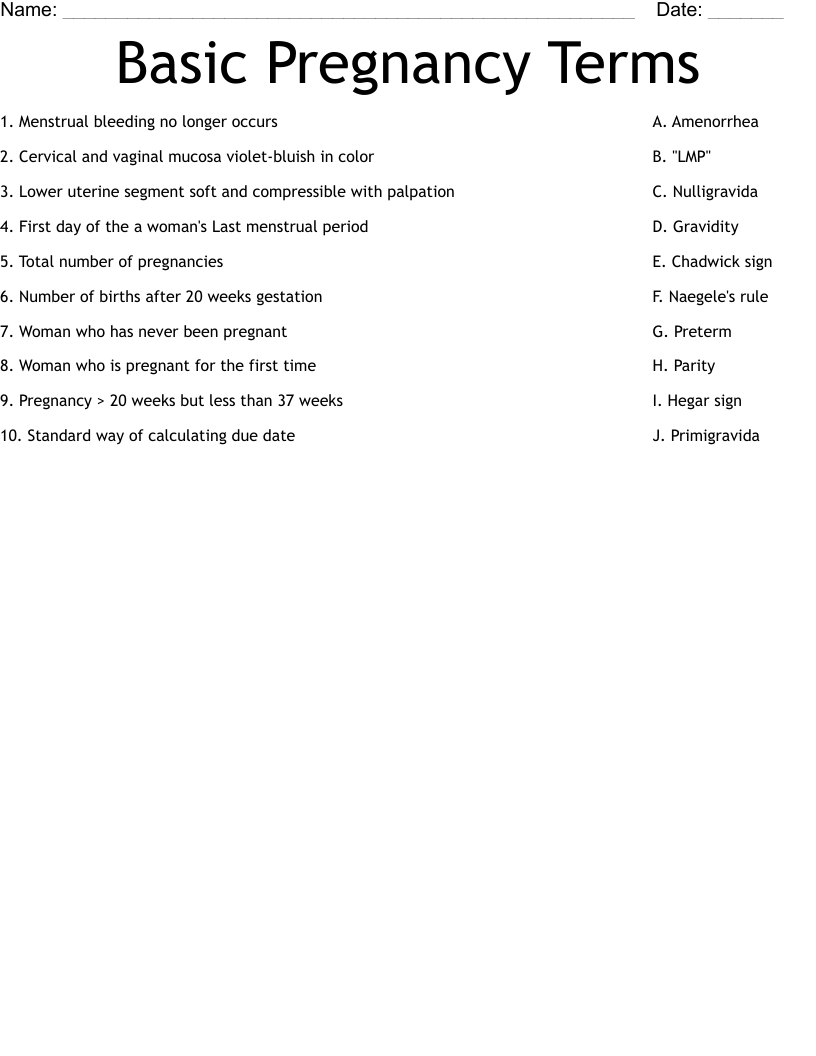 Basic Pregnancy Terms Worksheet